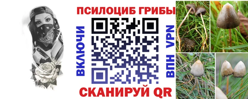 Псилоцибиновые грибы мицелий  Афипский 